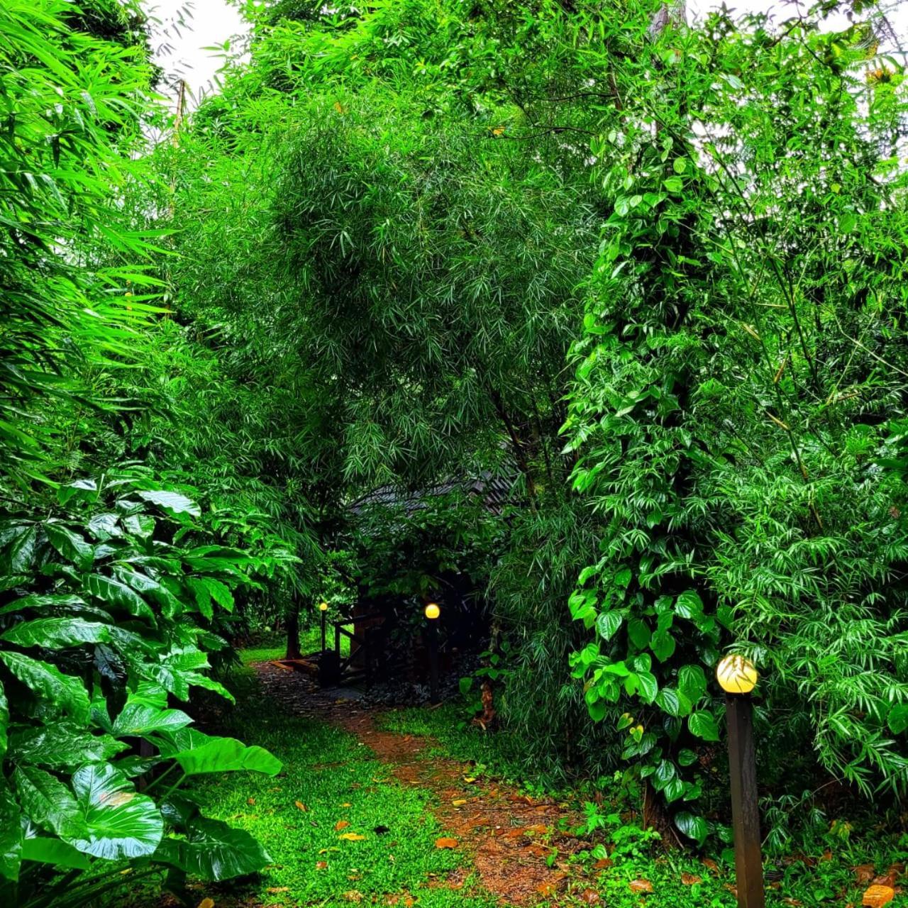 סולטאן באטרי Greens Tree House & Wood House מראה חיצוני תמונה