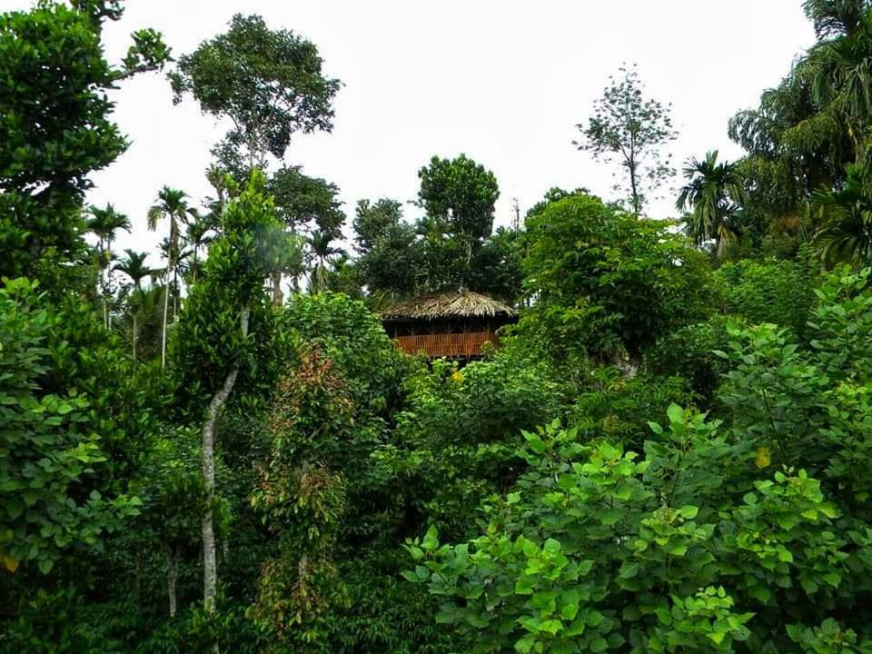 סולטאן באטרי Greens Tree House & Wood House מראה חיצוני תמונה