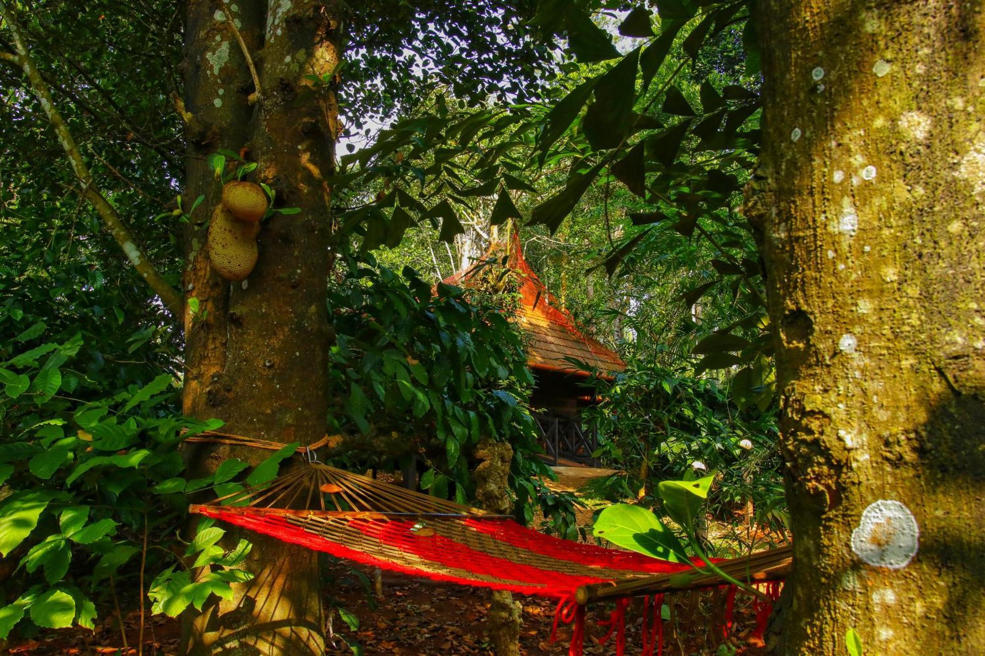 סולטאן באטרי Greens Tree House & Wood House מראה חיצוני תמונה