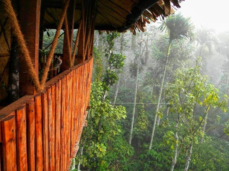 סולטאן באטרי Greens Tree House & Wood House מראה חיצוני תמונה