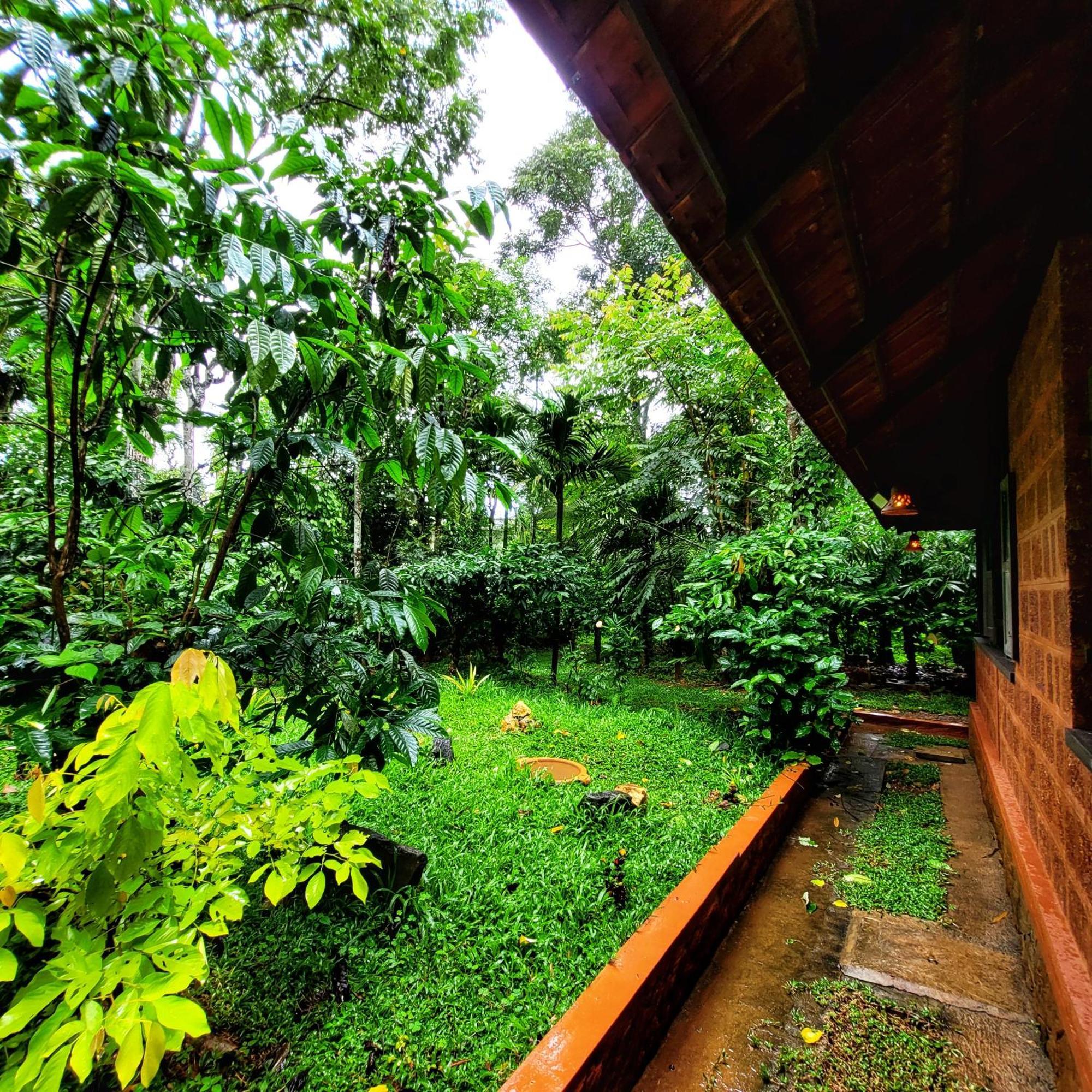 סולטאן באטרי Greens Tree House & Wood House מראה חיצוני תמונה