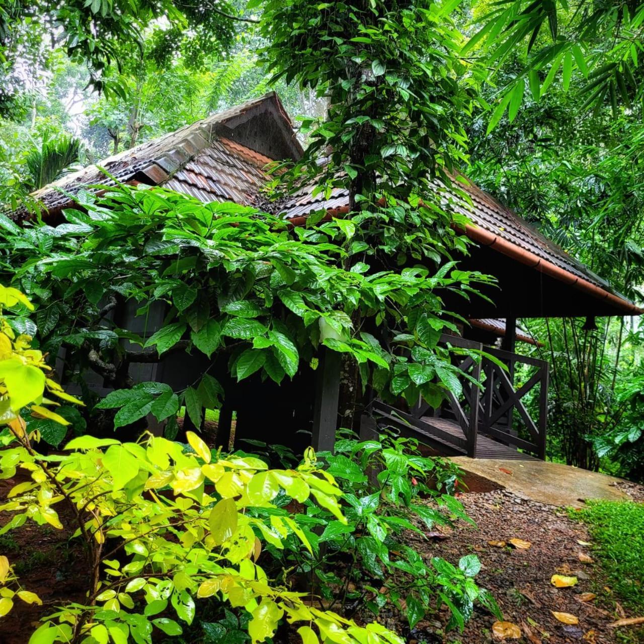 סולטאן באטרי Greens Tree House & Wood House מראה חיצוני תמונה